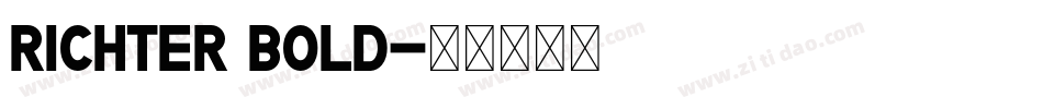 Richter Bold字体转换
